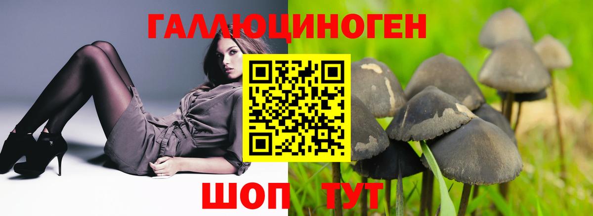 Псилоцибиновые грибы прущие грибы  Вход с VPN  Вольск  Псилоцибиновые грибы GOLDEN TEACHER 